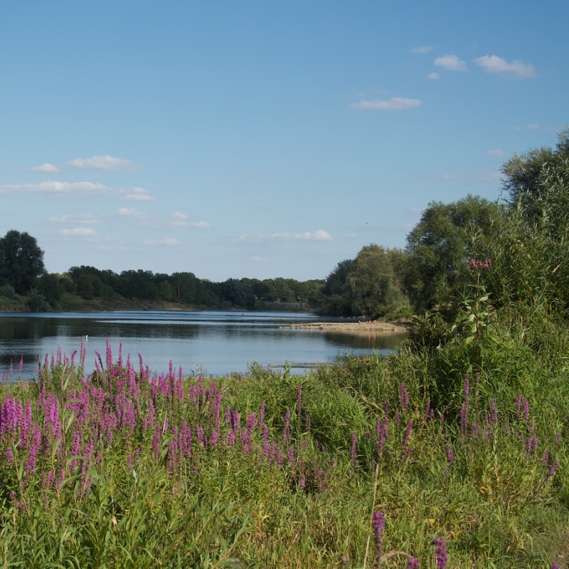 hoeve_de_Ploeg_maastricht_terras
