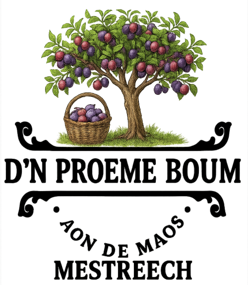 transpa_logo_den_proeme_boum_mestreech